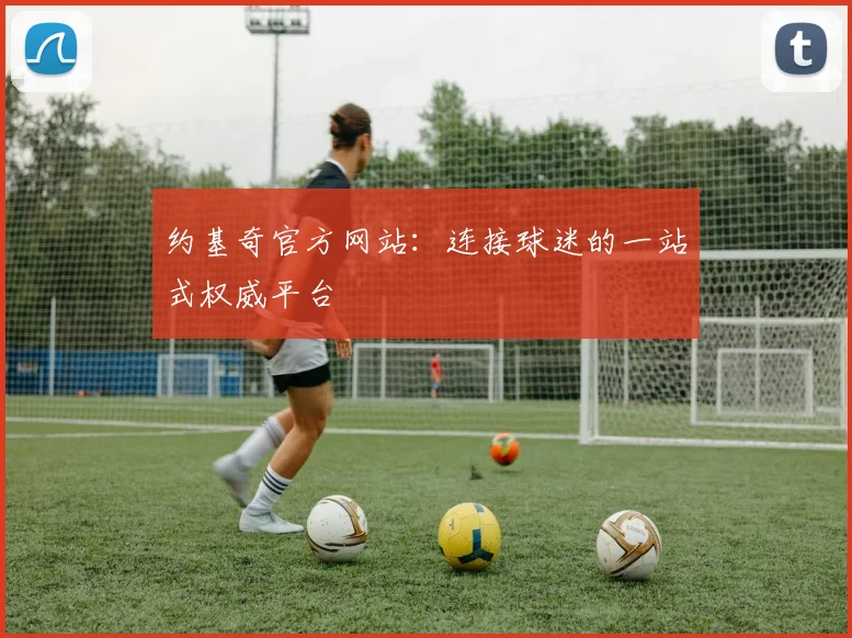 约基奇官方网站：连接球迷的一站式权威平台