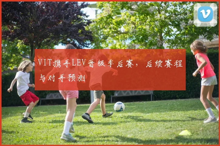 VIT携手LEV晋级季后赛，后续赛程与对手预测