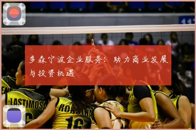 多森宁波企业服务：助力商业发展与投资机遇