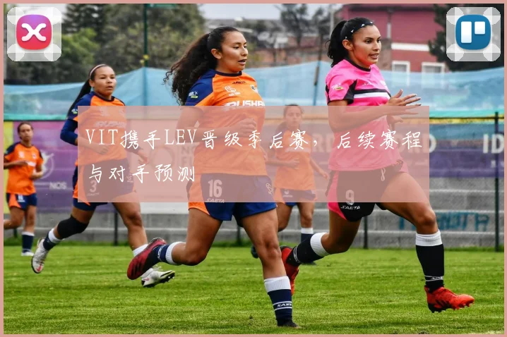 VIT携手LEV晋级季后赛，后续赛程与对手预测
