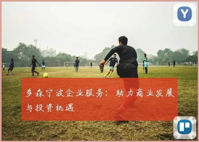 多森宁波企业服务：助力商业发展与投资机遇